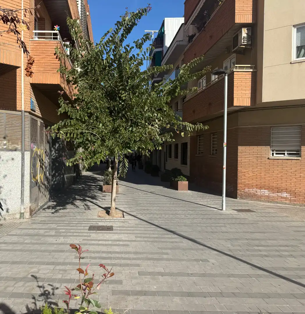 Wohngebäude zum Verkauf in Carrer de la Verge de Montserrat, imagen 4
