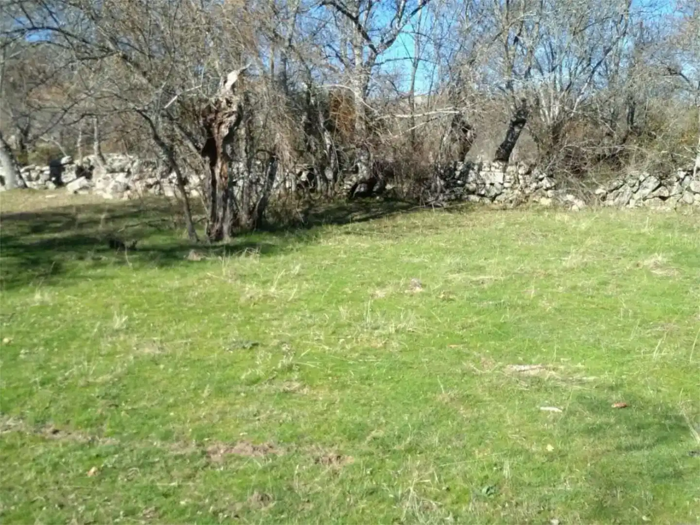 Land for sale in Centro - Manguilla
