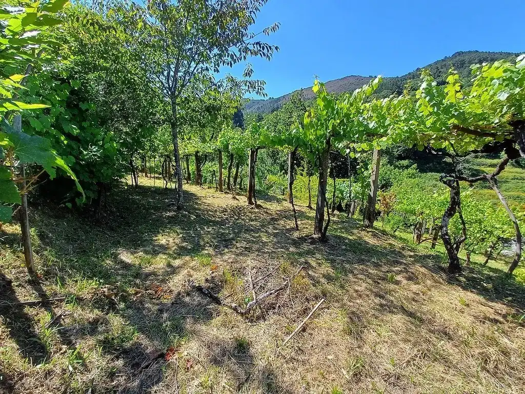 Maison avec jardin à vendre à Lugar Parada-Franqueira, imagen 28