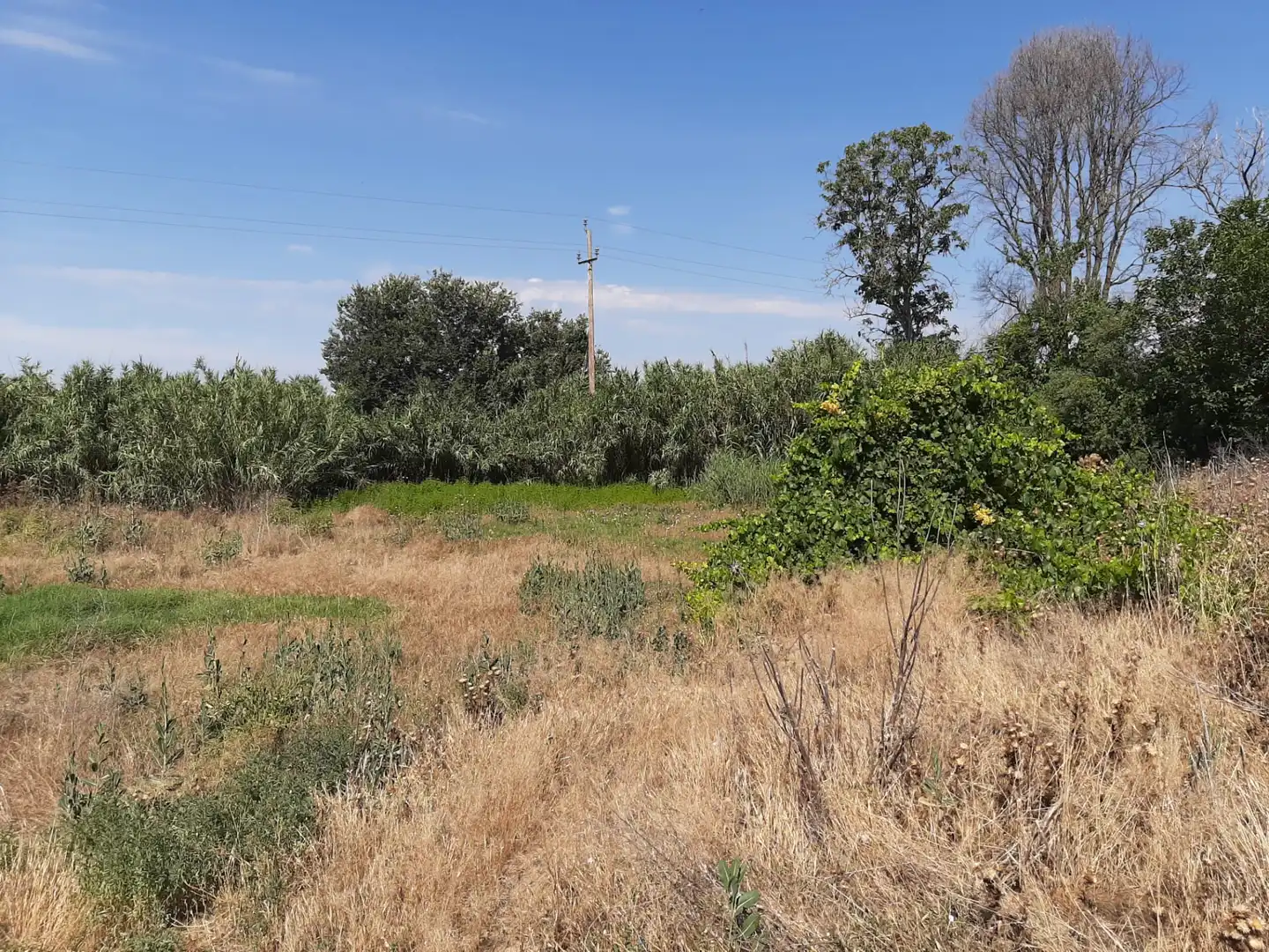 Casa o xalet en venda en Ivars d'Urgell amb Jardí privat, Terrassa i Traster