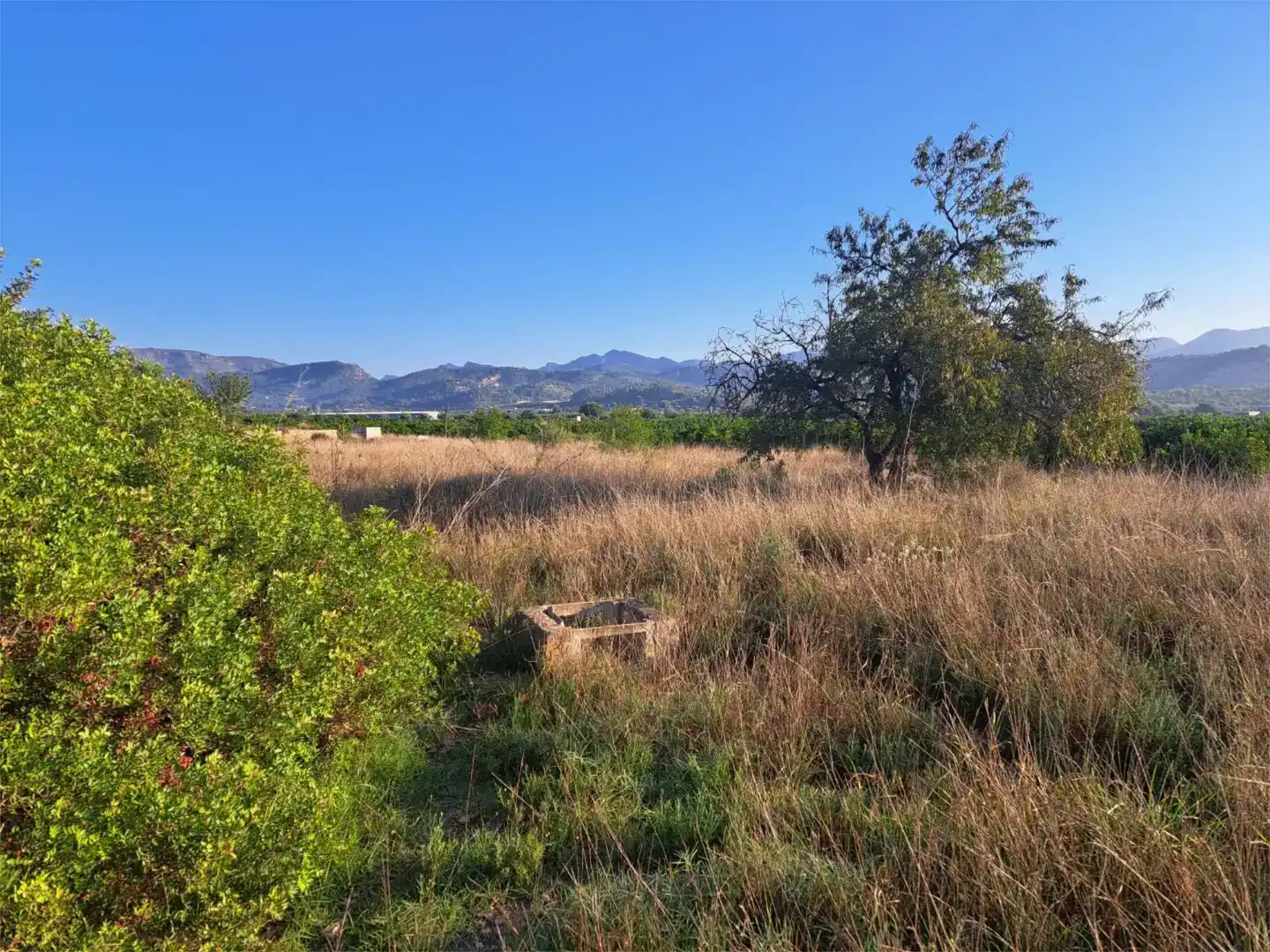 Land for sale in Marines