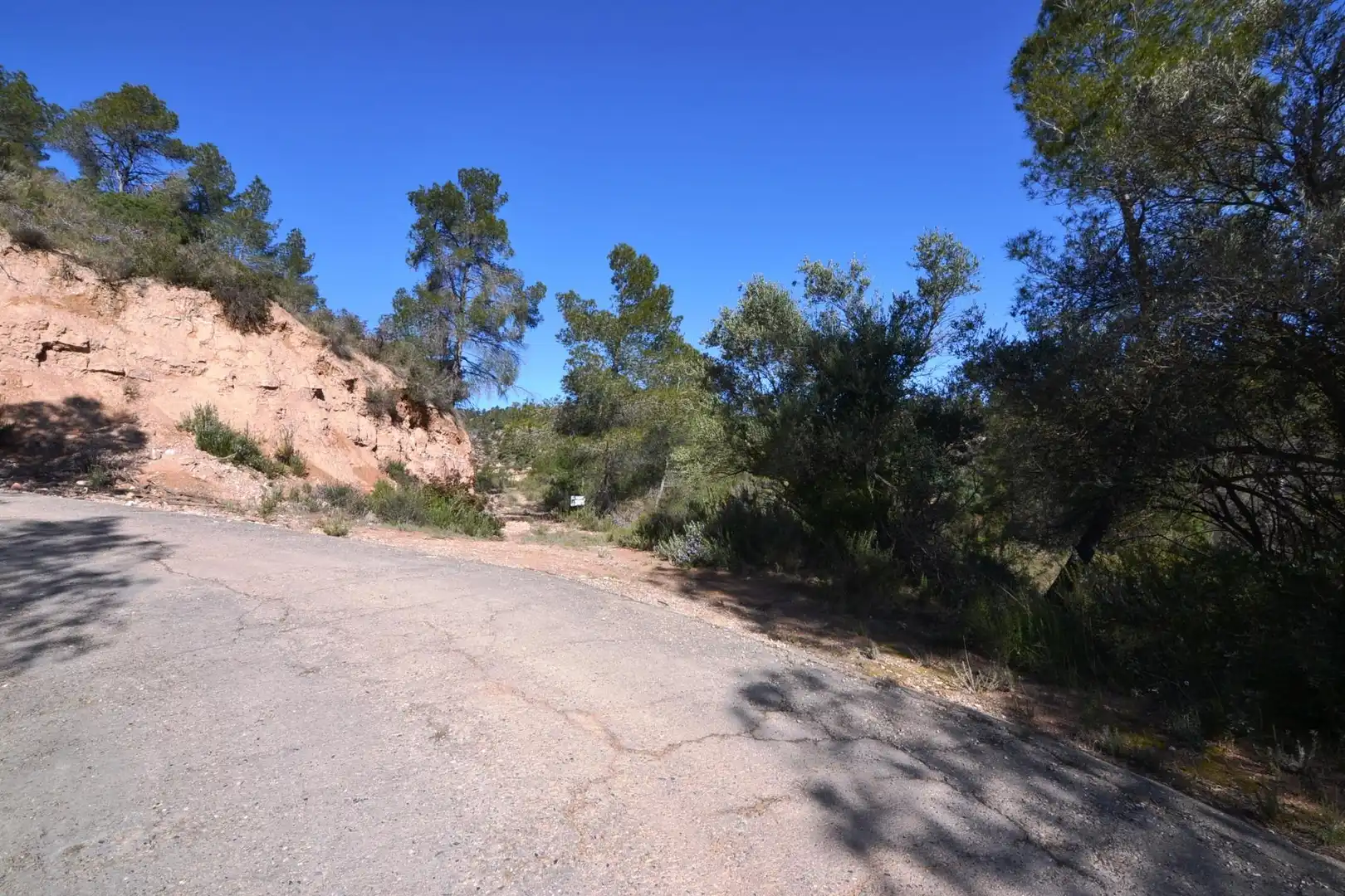 Rural land for sale in Ascó