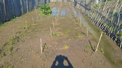 Photo 5 of Country house for sale in La Laguna, Cádiz