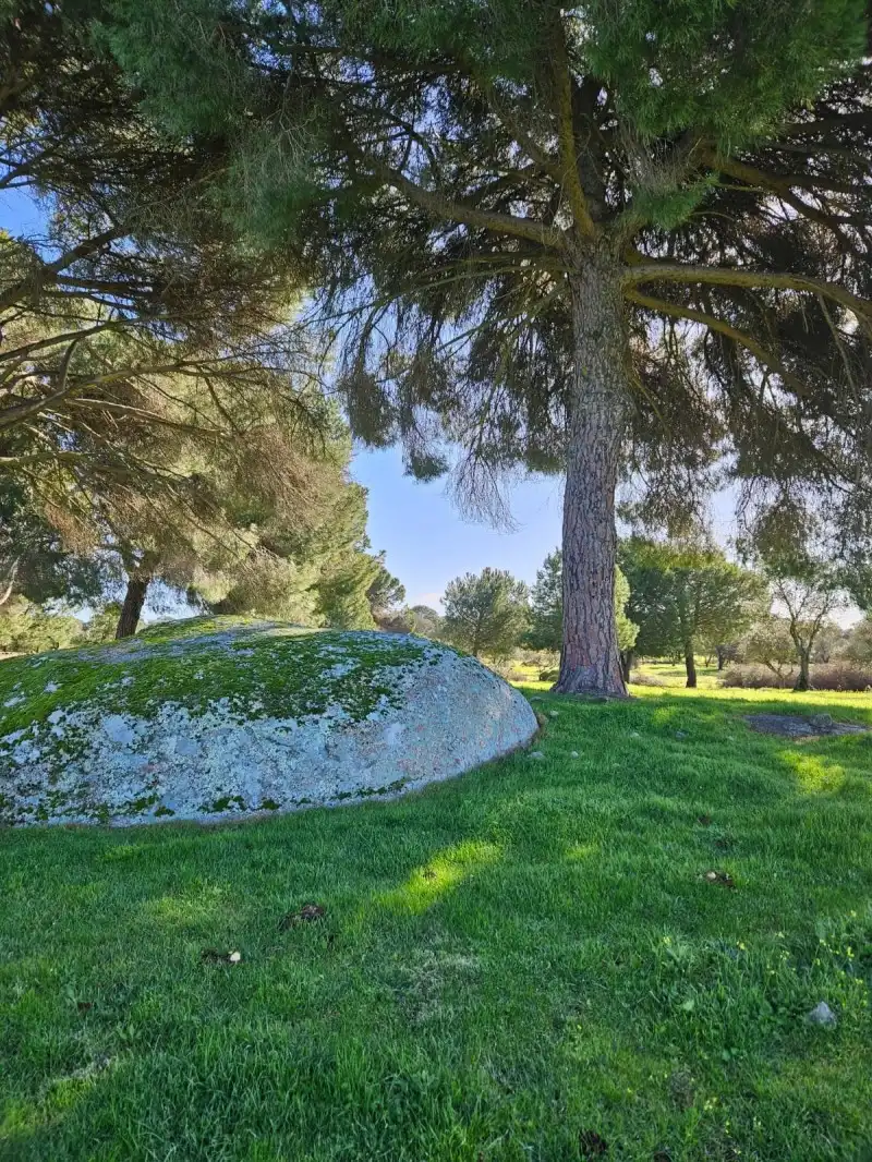 Terreni e lotti in vendita a Aldea del Cano, imagen 69