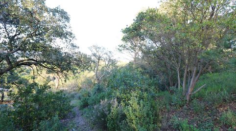 Foto 2 de Residencial en venta en Golf Costa Brava, Santa Cristina d'Aro