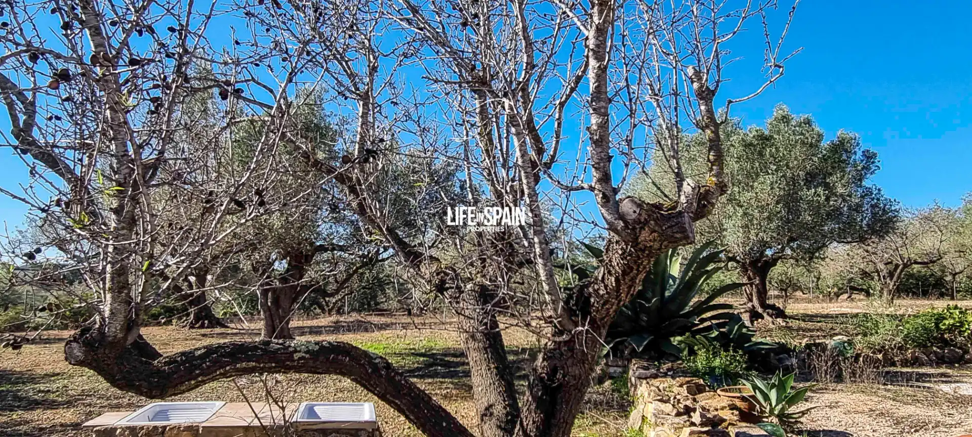 Maison rustique à vendre à L'Ampolla, imagen 31