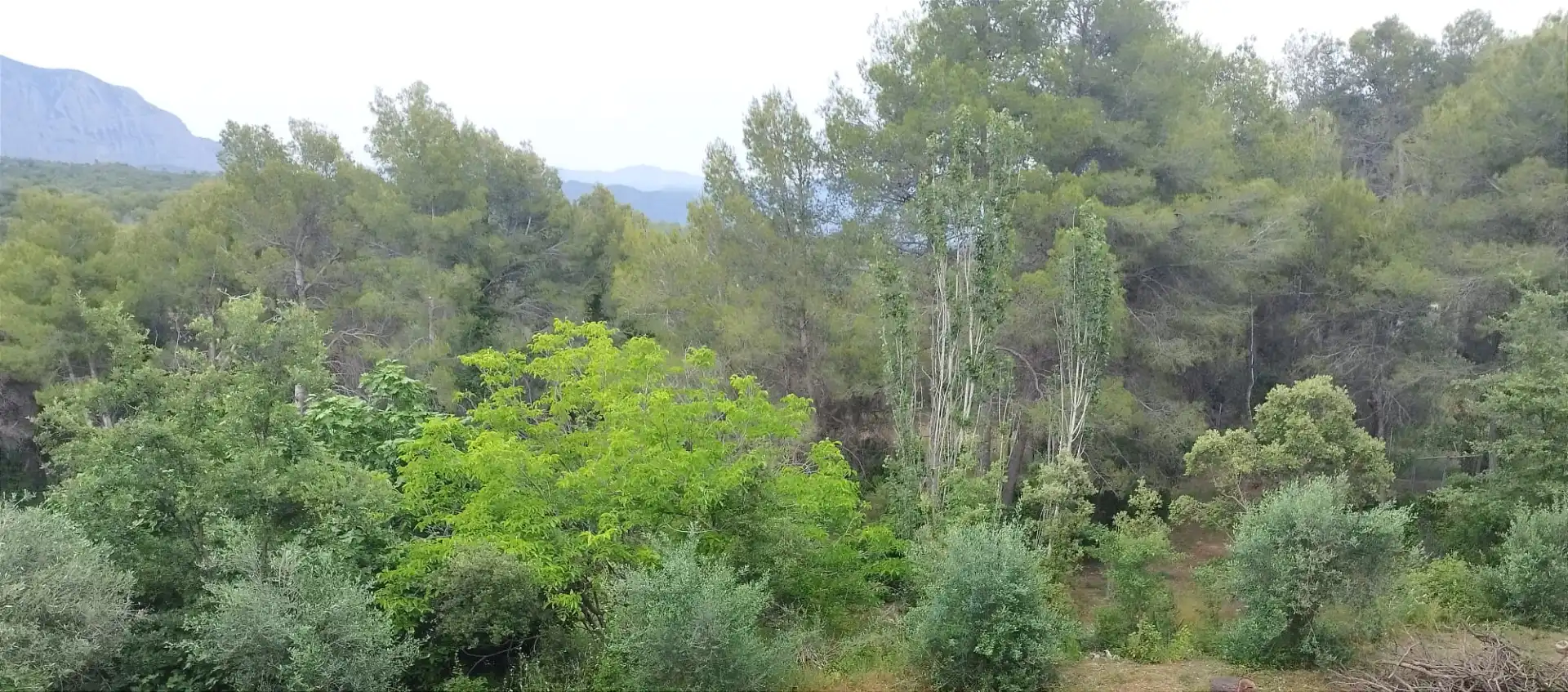 Terreny rústic de lloguer a Els Hostalets de Pierola, imagen 20