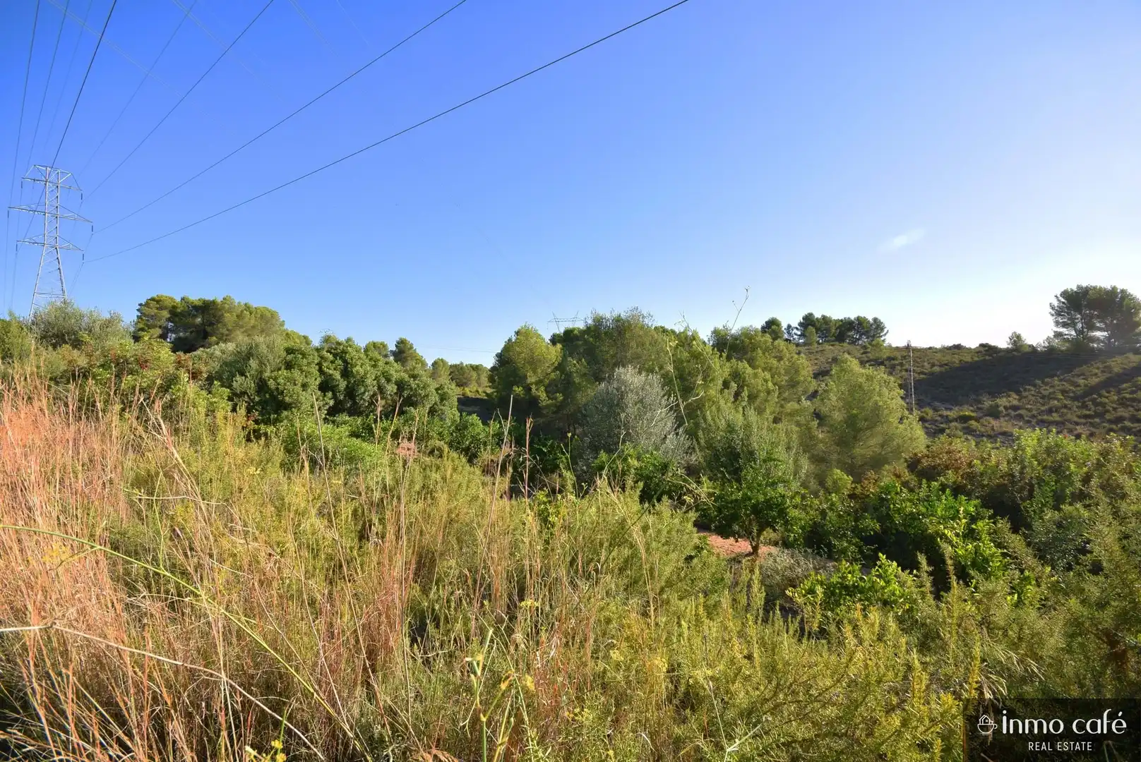 Terreny rústic en venda a L'Alcúdia de Crespins, imagen 12