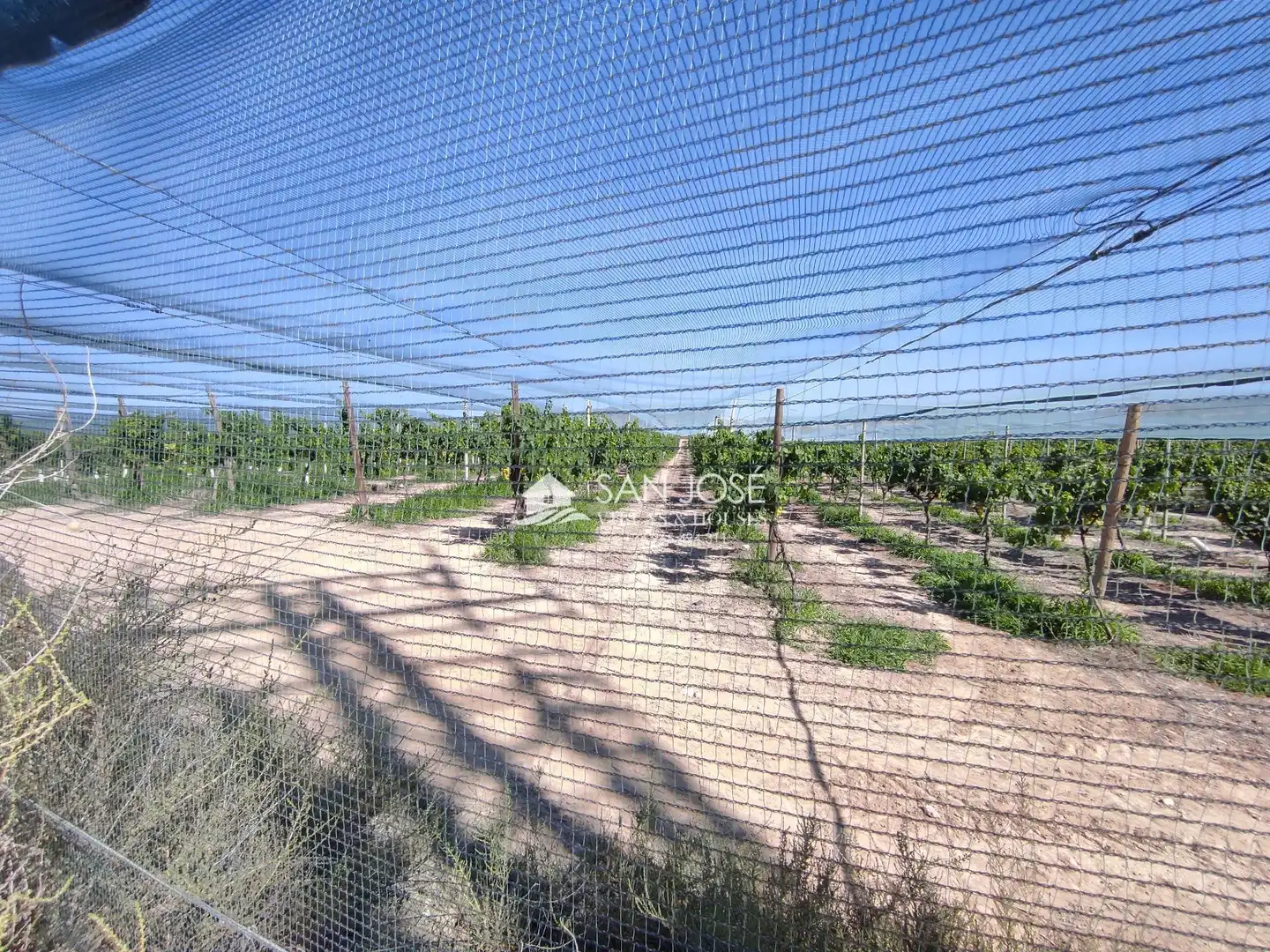 Terreno residencial en venta en Monforte del Cid, imagen 2