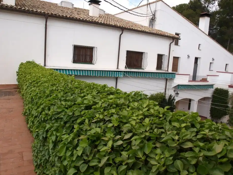 Maison rustique avec jardin à vendre à Penàguila, imagen 71