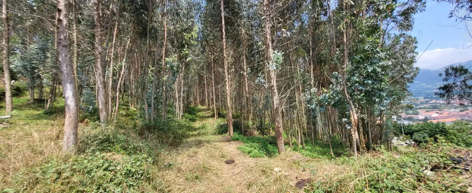 Casa o chalet en venta en Los Corrales de Buelna  con Jardín privado