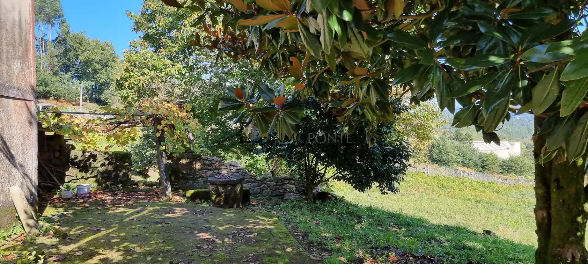 Jardí de Casa o xalet en venda en Pontevedra Capital  amb Jardí privat