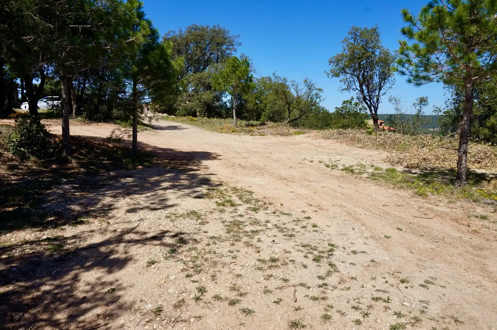 Terreno rústico en venta en La Serreta, imagen 4