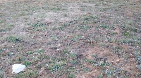 Photo 3 of House or chalet for sale in Sant Sadurní d'Osormort, Barcelona