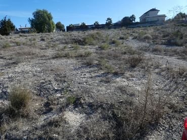 Terreno rustico in vendita a La Alcayna