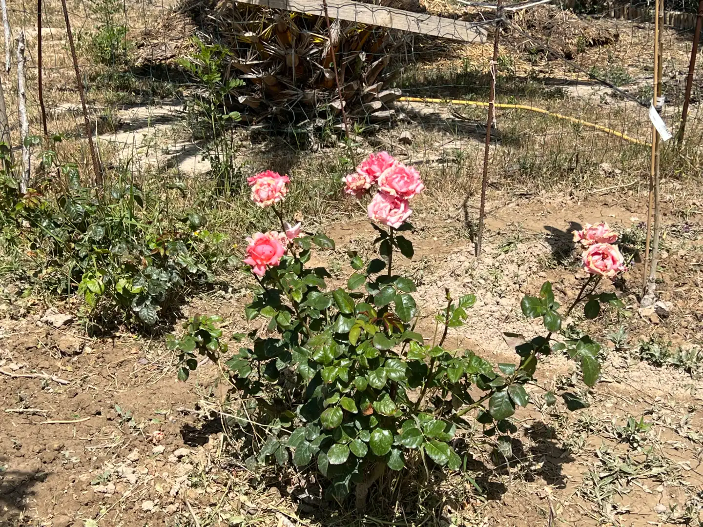 Terreni e lotti in vendita a Barrios rurales del oeste, imagen 20
