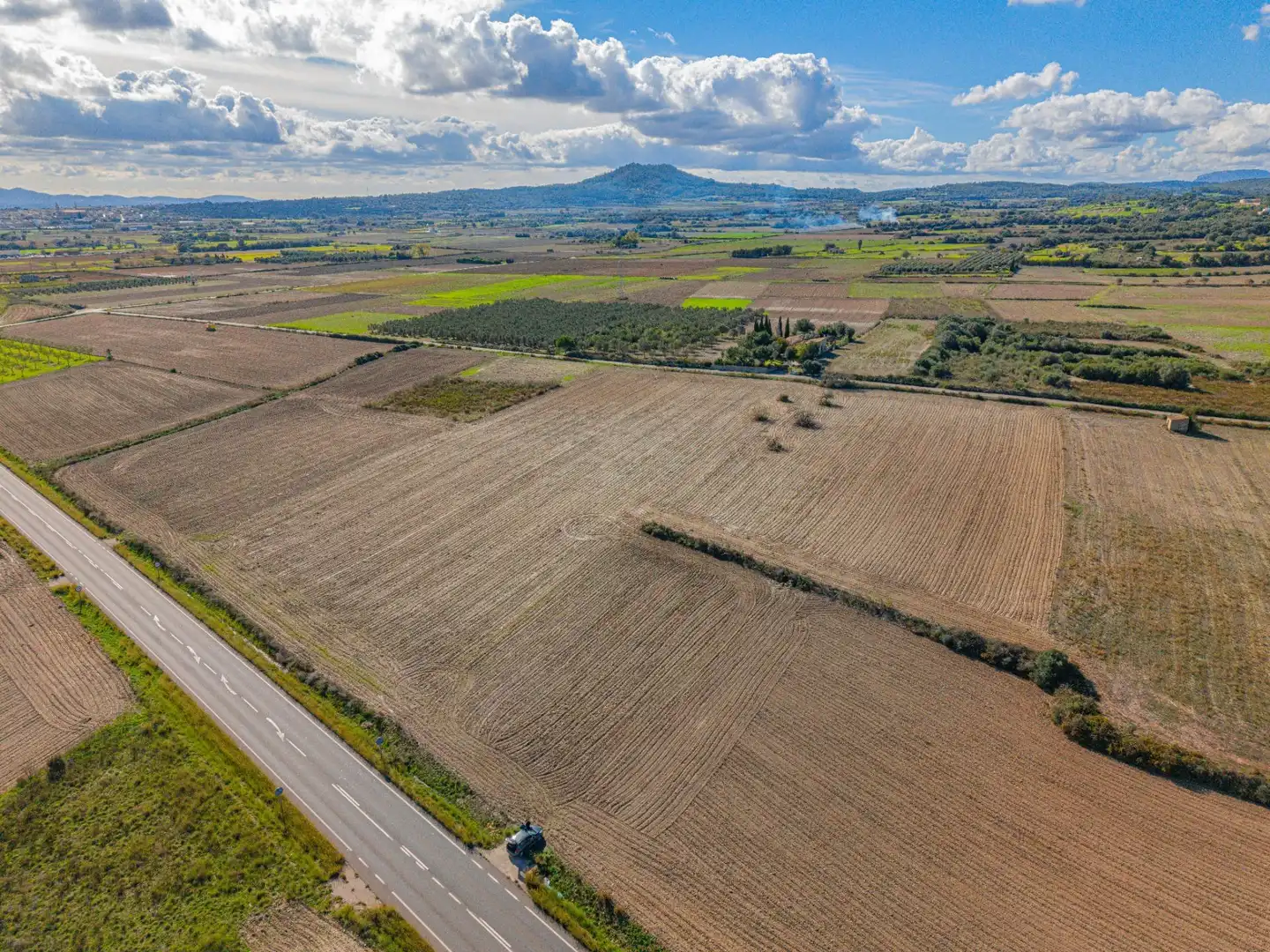 Rural land for sale in Carretera Carretera de Petra a Santa Margalida, imagen 9
