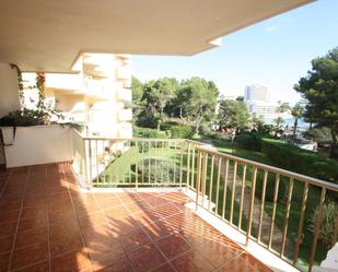 Garden of Flat to rent in Calvià  with Air Conditioner, Terrace and Swimming Pool