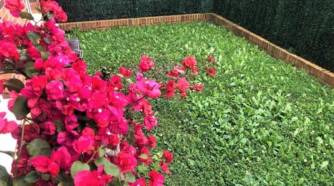 Foto 4 de Piso de alquiler en Tregadín, Cantabria