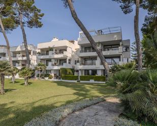 Planta baixa de lloguer a Port d'Alcúdia - Platja d'Alcúdia