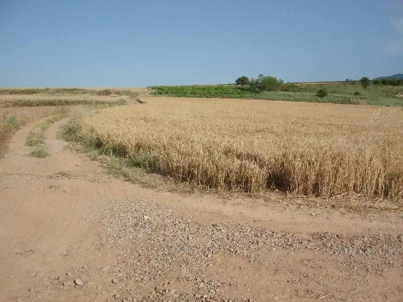 Terreny rústic en venda a Villamediana de Iregua, imagen 2