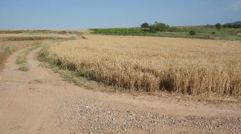 FINCA RÚSTICA - ALBERITE (), imatge 2