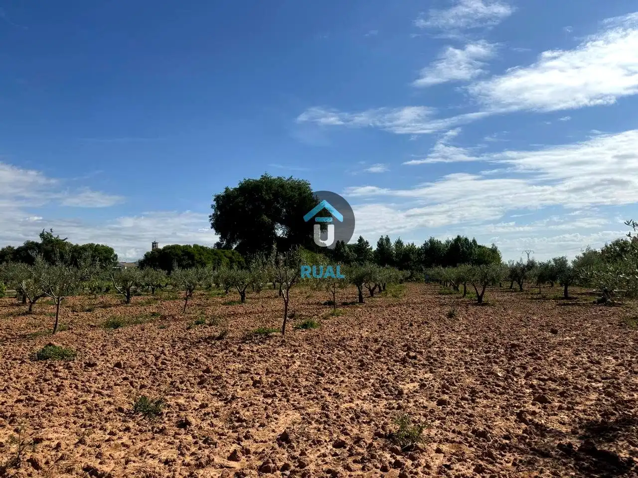 Terreni e lotti in vendita a POLIGONO 13