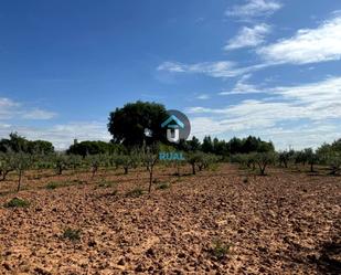 Land for sale in Calera y Chozas