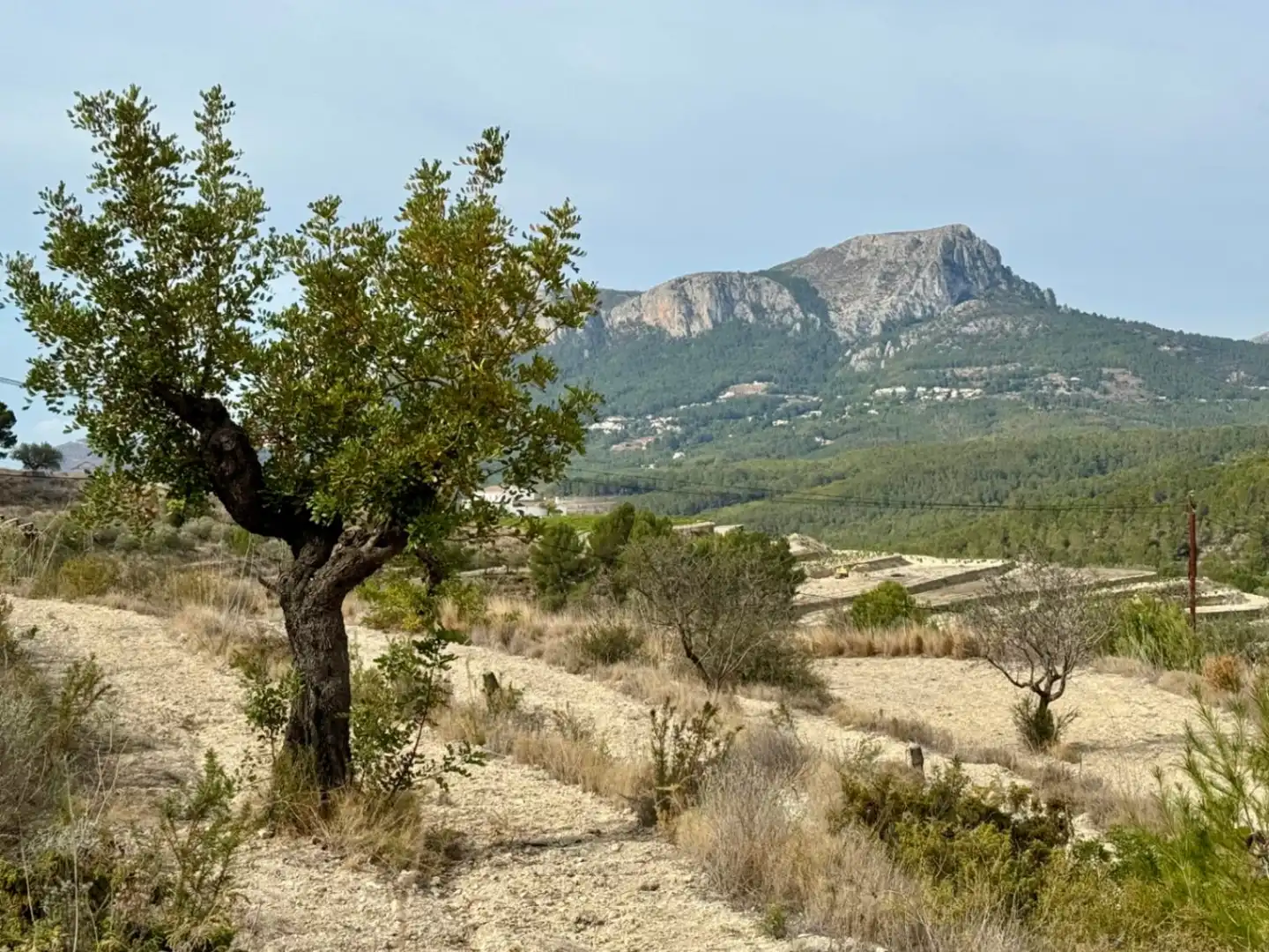 Terrenos y solares en venta en Benissa pueblo