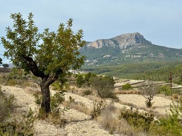 Lands and plots for sale in Benissa pueblo