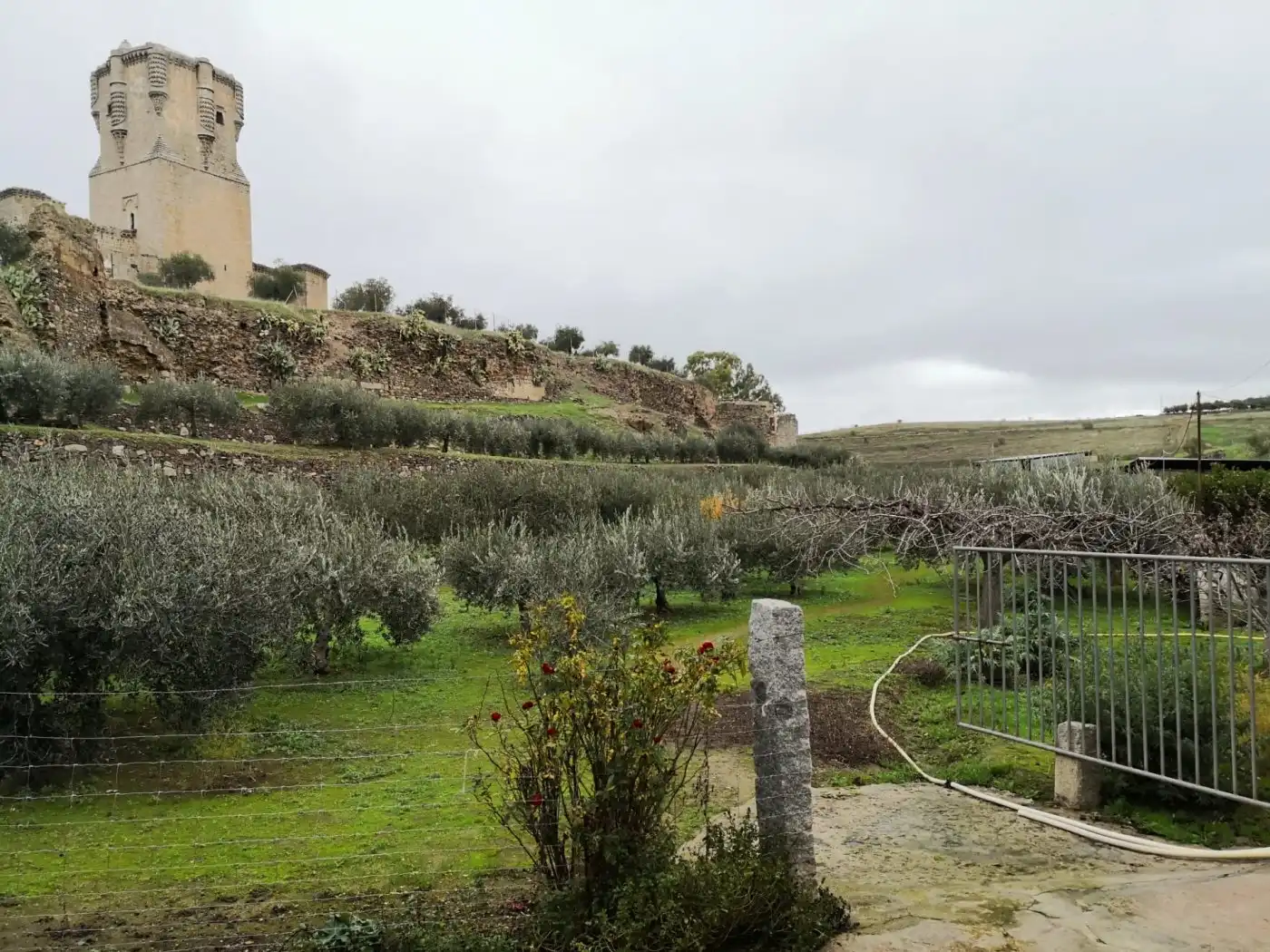Jardín de Finca rústica en venta en Belalcázar