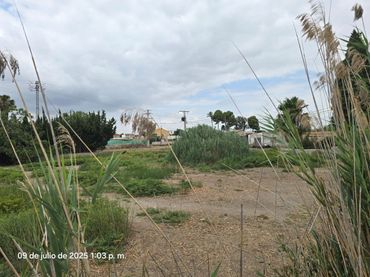 Terreny residencial en venda a Pedanías Este