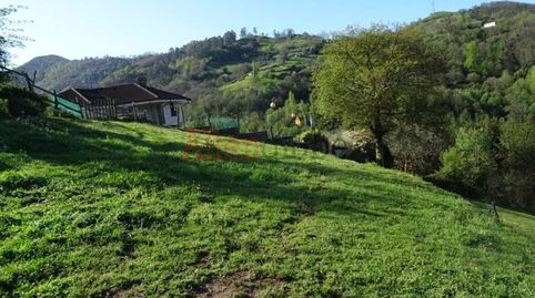 VENTA DE PARCELA EDIFICABLE  INCLINADA  LA MORTERA OLLONIEGO    A 15 MINUTOS DE OVIEDO CAPITAL !!!!, imagen 5