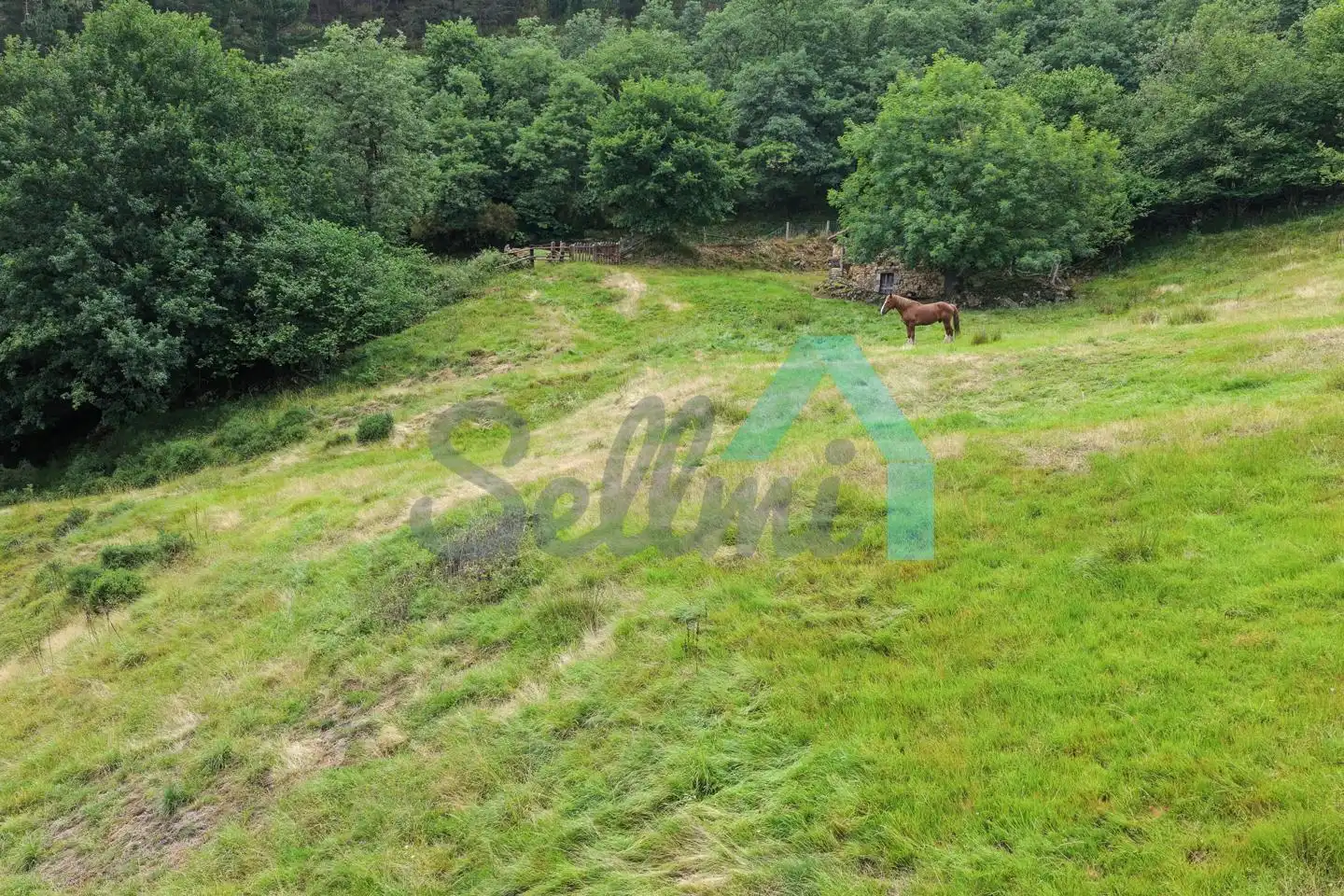 Land for sale in Proaza