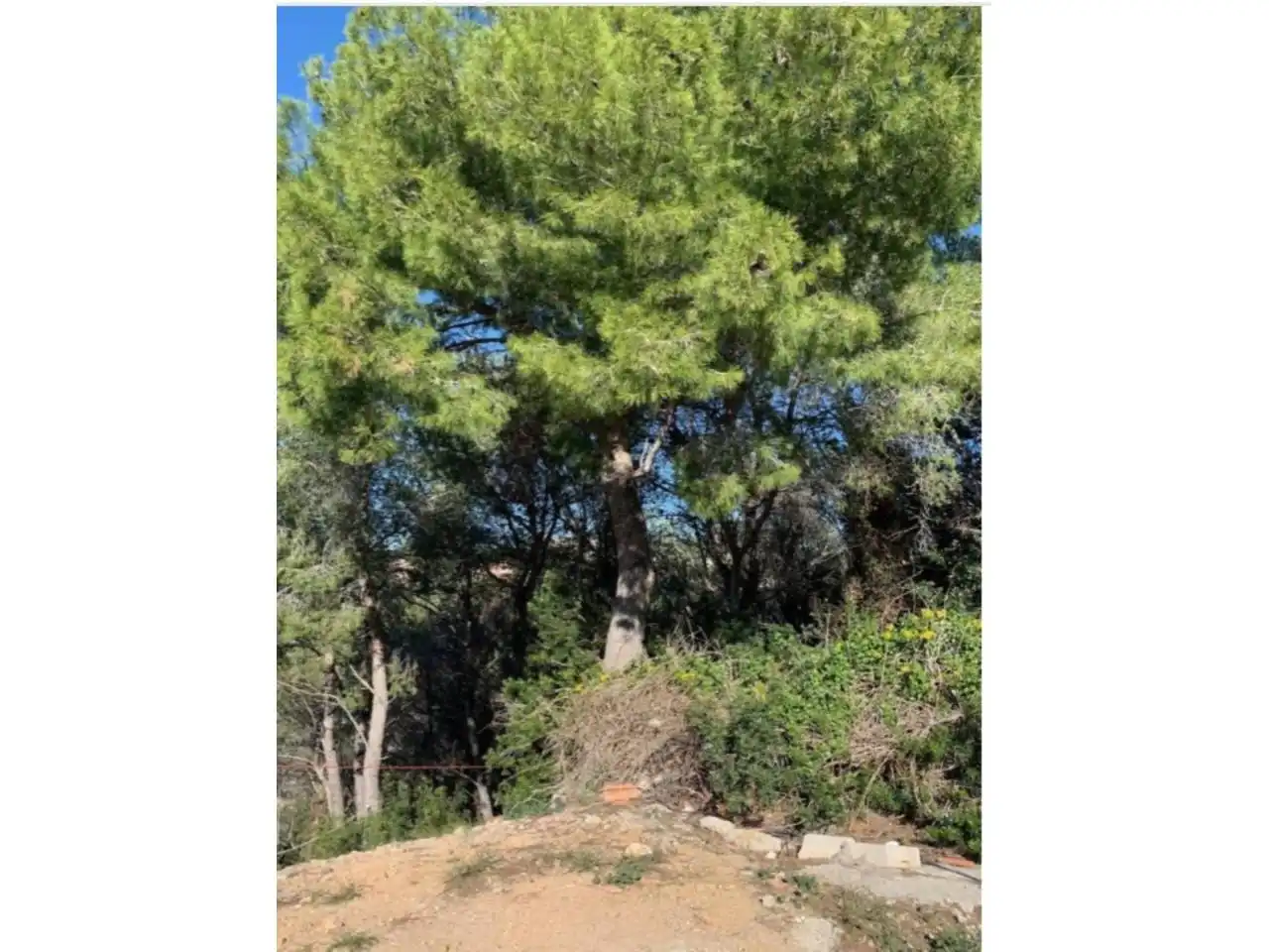 Terreno residenziale in vendita a Vía Láctea, imagen 6