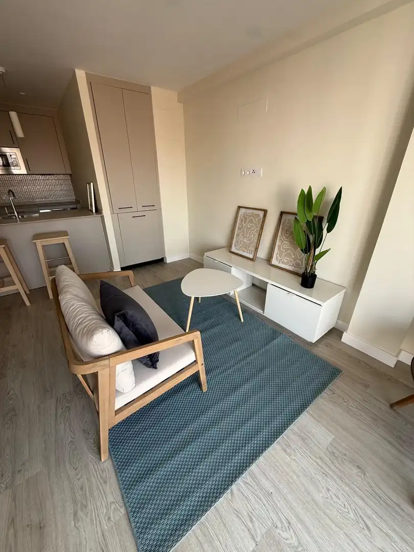 Sala de estar de Piso en venta en Málaga