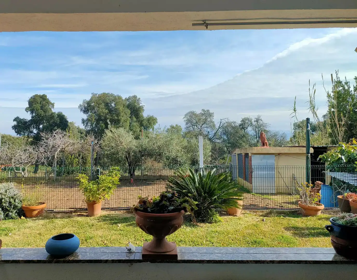 Jardín de Casa o chalet en venta en Riudarenes con Terraza