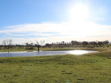 Rural land for sale in San Bernardo - Carmelitas - Campus