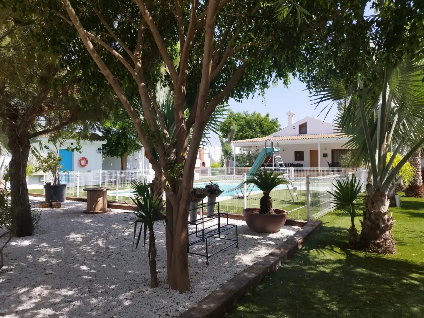 Swimming pool of Country homes for rent in Torre-Pacheco  with Furnished