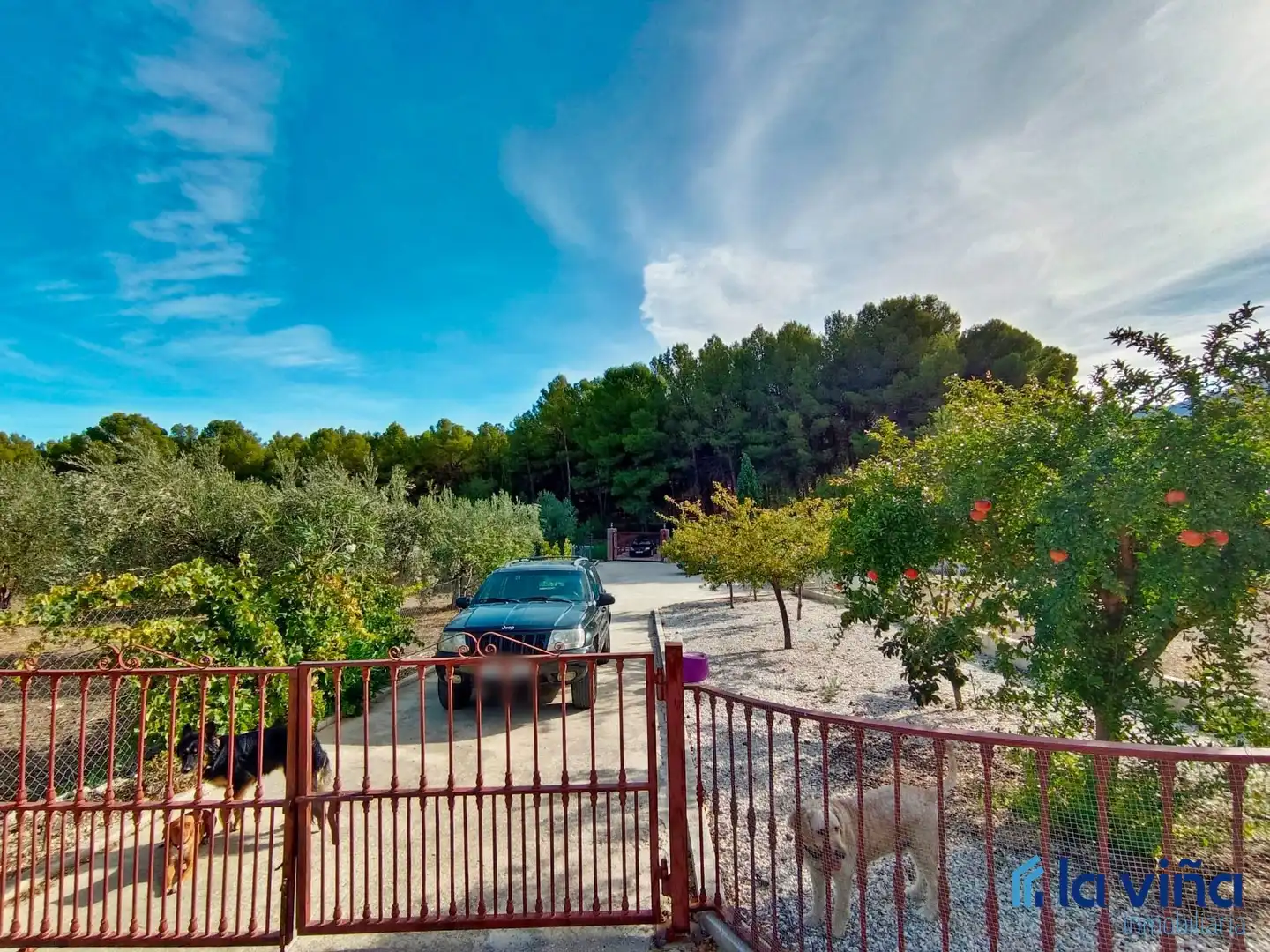 Maison à vendre à El Burgo, imagen 3