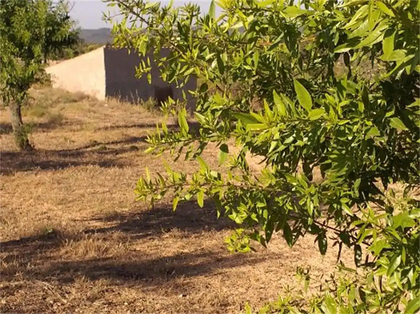 Terreno en venta en L'Albi