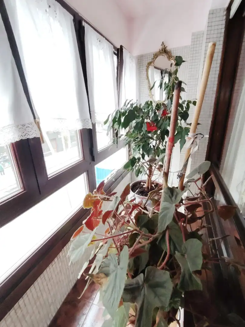 Terrasse von Wohnung zum Verkauf in Gijón  mit Heizung, Parkett und Terrasse