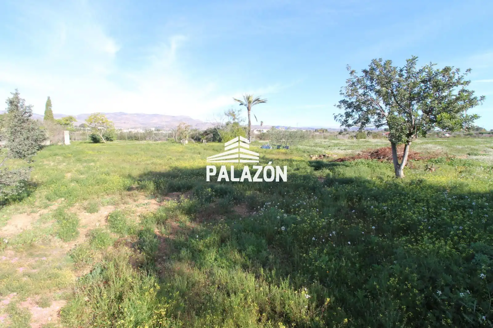 Terreno rustico in vendita a Crevillent