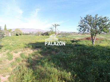 Rural land for sale in Crevillent