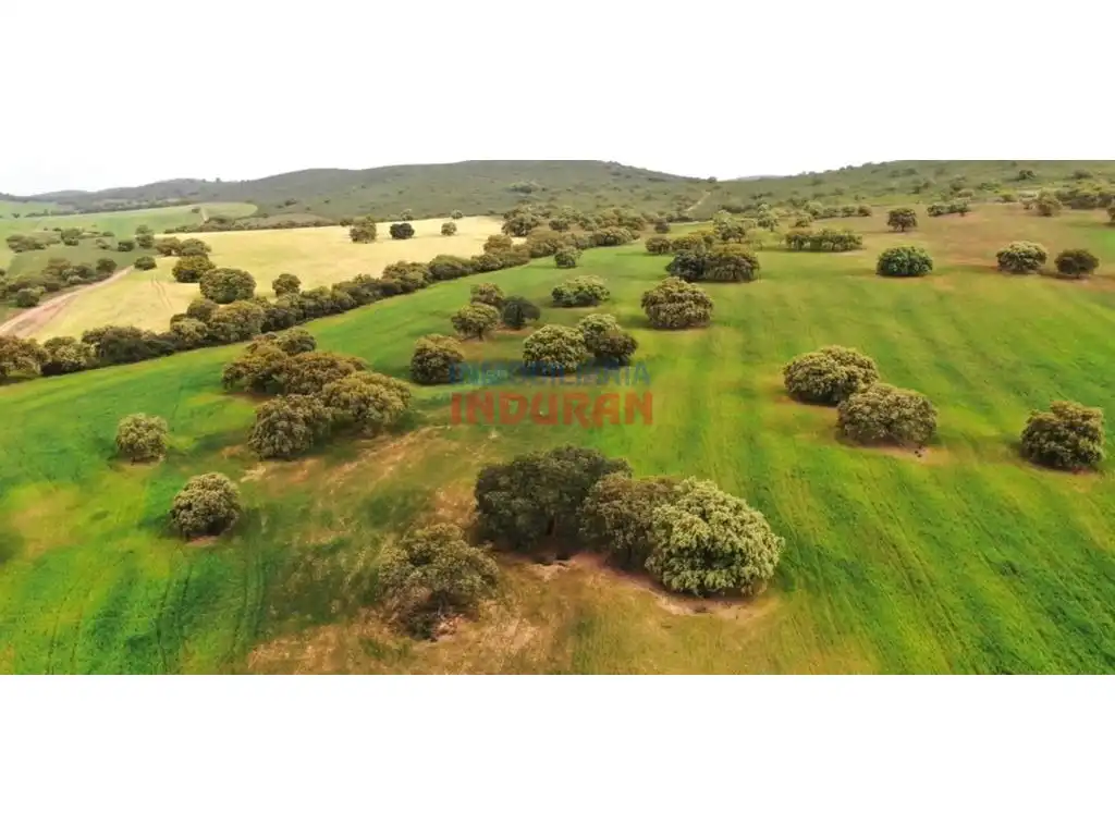 Casa rústica en venda a Hornachos, imagen 3