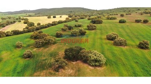 Foto 3 de Finca rústica en venta en Hornachos, Badajoz