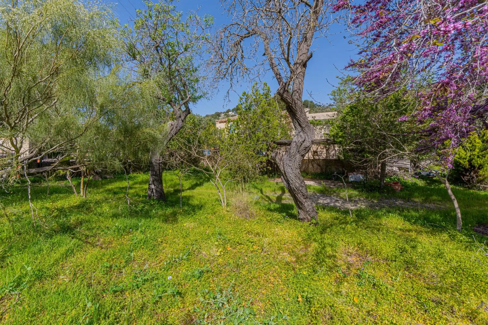 Finca rústica en venta en Puigpunyent con Jardín privado, Terraza y Trastero