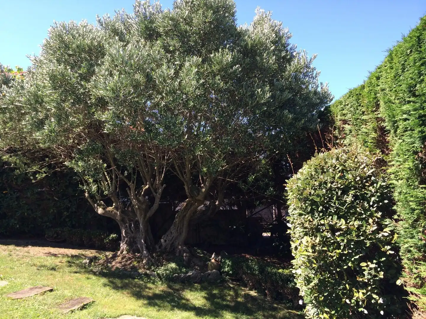 Detached house with terrace for sale in Santa María de Getxo, imagen 6