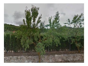 House for sale in Camino del Figueral