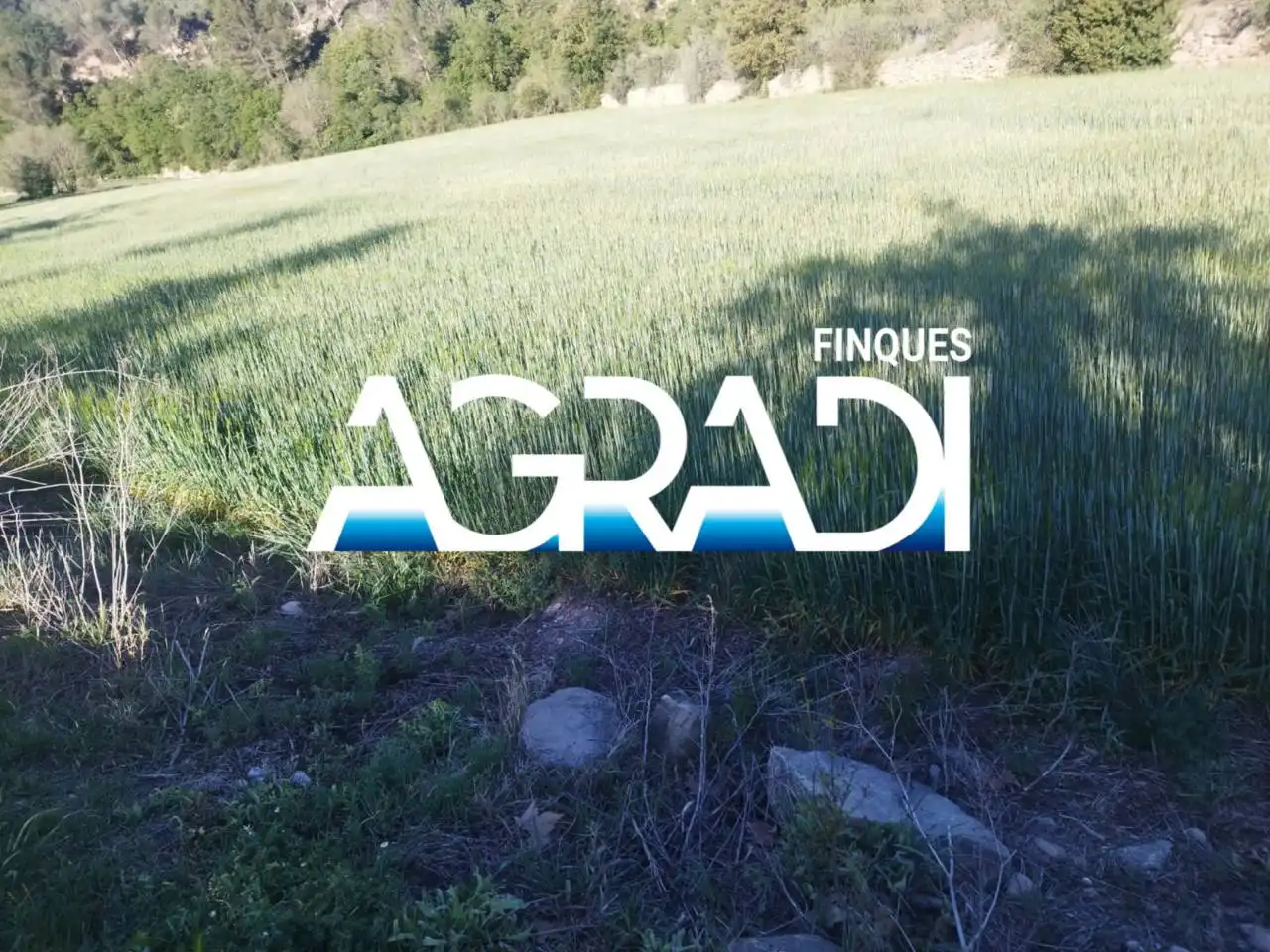 Terreny rústic en venda a Carretera Igualada
